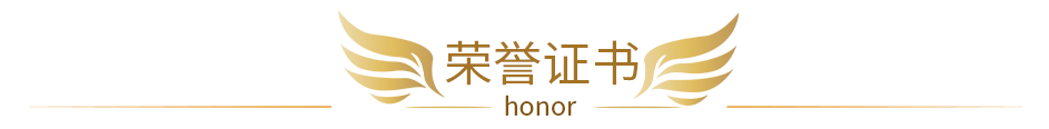 正穗實(shí)力榮譽(yù)